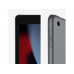 APPLE IPAD 9 MK2N3 - WIFI - 256GB - GRAY