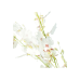 FLOR ART ORQUIDEA SPRAY 94CM