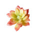 PLANTA ART SUCULENTA SIN FLORERO 2,5