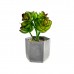 PLANTA ART SUCULENTA / CACTUS 13,0