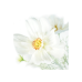 FLOR ART AMAPOLA BLANCA 78CM 29032