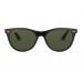 ANTEOJOS RAY BAN 2185 902/31 55
