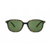ANTEOJOS RAY BAN 2193 902/31 53